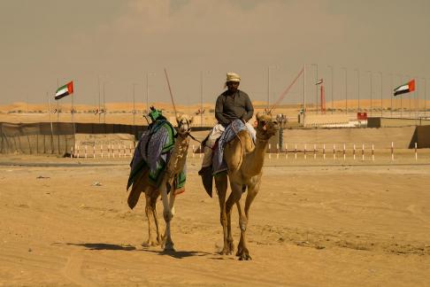 The Camel man 2