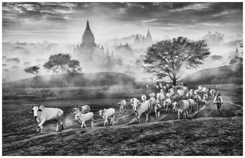 On the way to go home