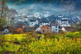 Morning in the village