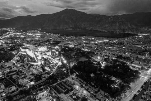 Red and White Symphony 14