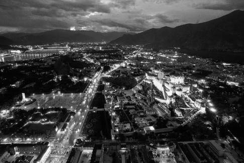 Red and White Symphony 15