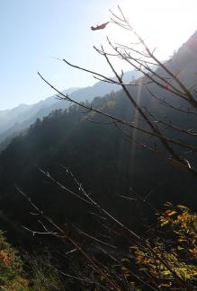 Deep in the mountains 6