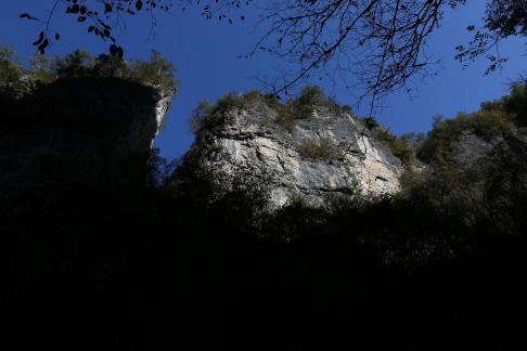 Forest Stone Peaks 2