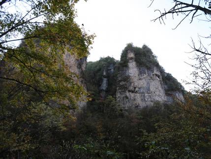 Forest Stone Peaks 3