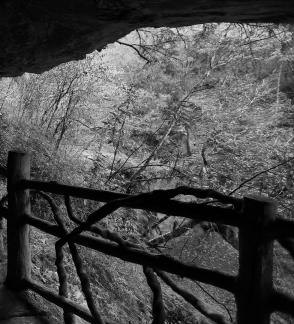 Mountain View Ancient Road 3