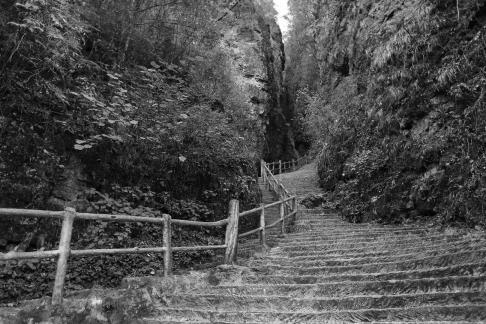 Mountain View Ancient Road 6