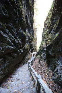 Mountain View Ancient Road 8