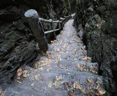 Mountain View Ancient Road 9