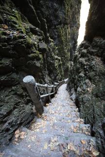 Mountain View Ancient Road 10