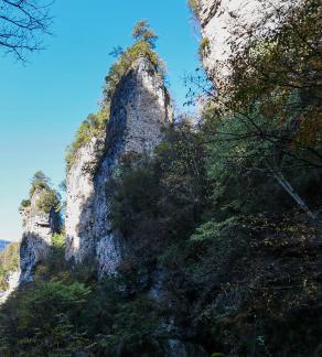 In the mountains and forests 3