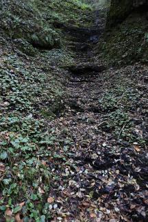 In the mountains and forests 6