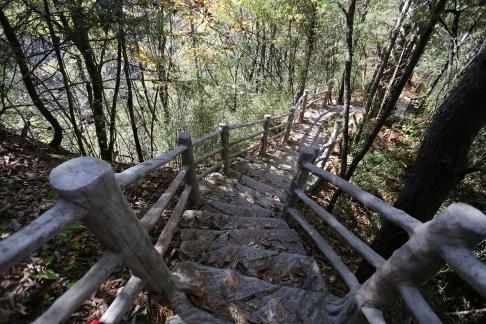 Mountain View Ancient Road 14