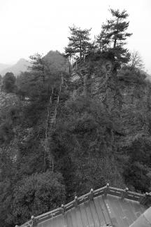 Mountain landscape 53