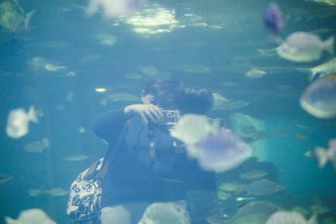 Blue border overlapping shadow 5