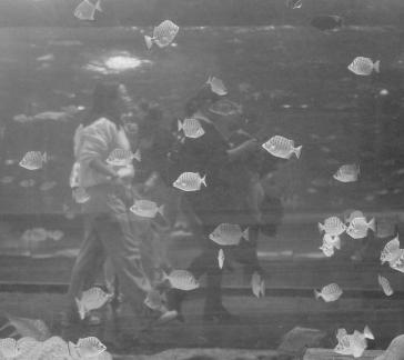 Blue border overlapping shadow 1