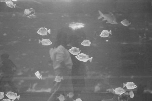 Blue border overlapping shadow 2