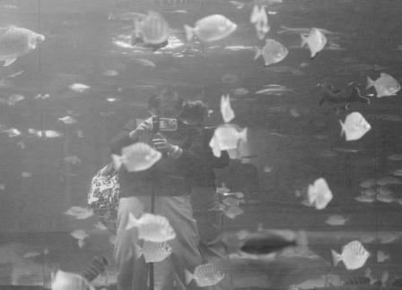 Blue border overlapping shadow 4