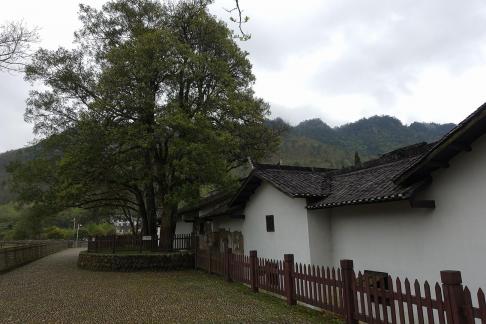 Deva asks the mountain