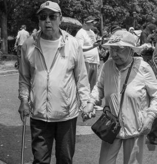 Accompanying the Four Seasons 1