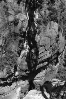 Green grows on the cliffs 1