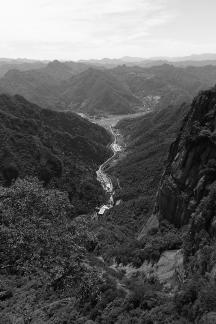 Green grows on the cliffs 2