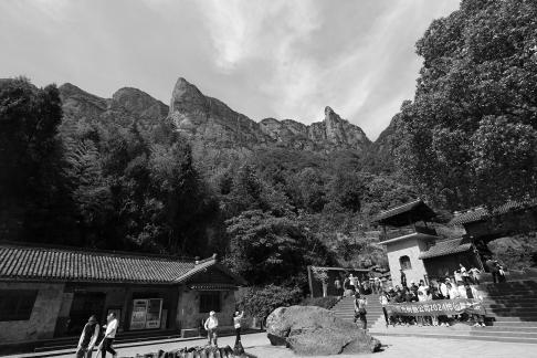 Green grows on the cliffs 3