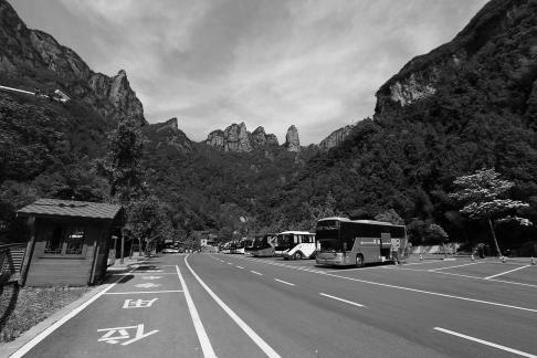 Green grows on the cliffs 4