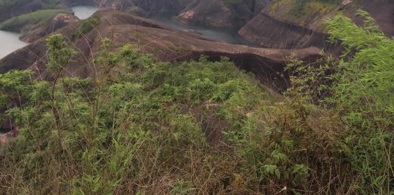 The Beauty of Mountains and Rivers2