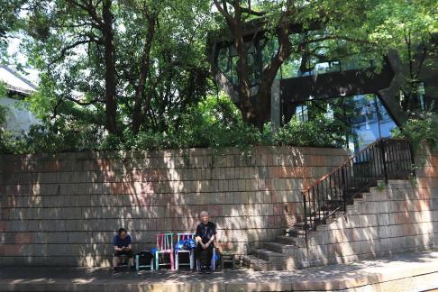 Under the shade of a tree 2