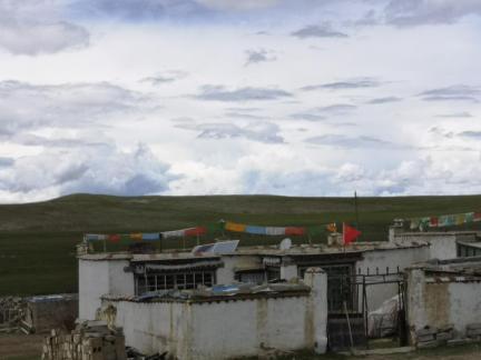 Yunmu Green Field 35