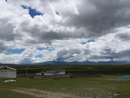 Yunmu Green Field 43