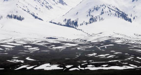 Pure Snow Mountain 8