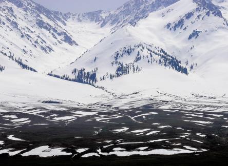 Pure Snow Mountain 9