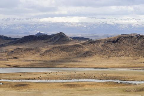 Towards the Far River 5