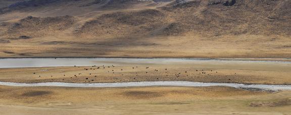 Towards the Far River 6