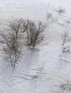 Empty field white painting 10