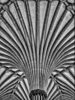 Wells Roof Detail