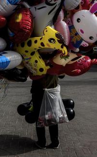 a great variety of beautiful things