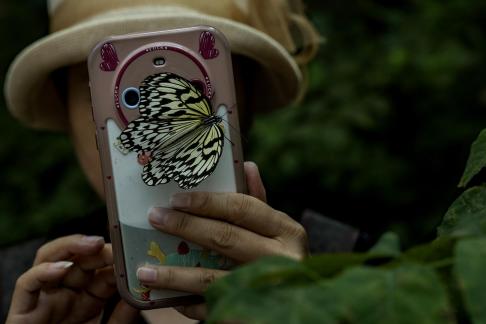 Voluntarily adding beauty