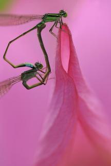 Light and comfortable 2