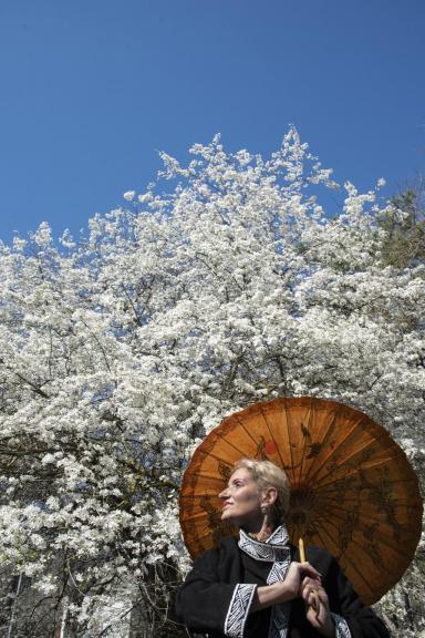 Spring has come
