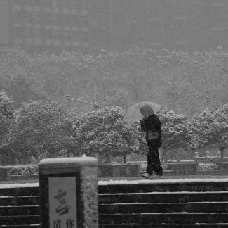 Snowflakes Dancing in the World 26