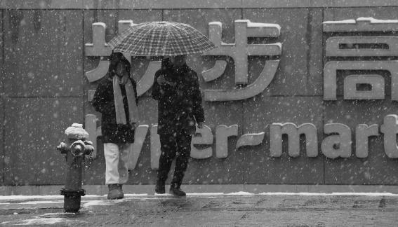 Snowflakes Dancing in the World 28