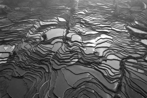 Terraced fields scenery 57