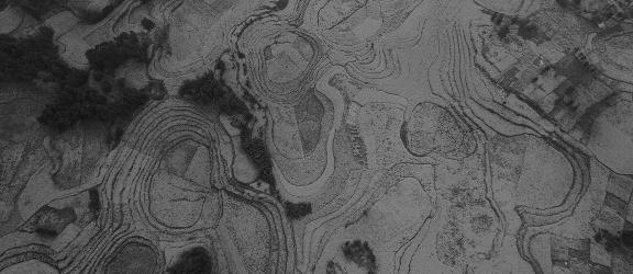 The Poetry of the Earth 54