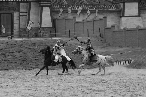 Equestrian performance 33