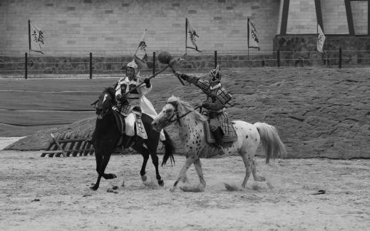 Equestrian performance 34