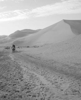 Desert Journey 37