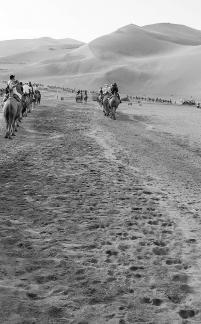 Desert Journey 38