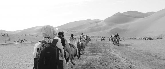 Desert Journey 39